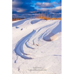 Local Shoreline in the Snow (8316)