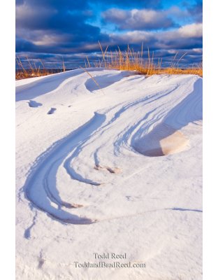 Local Shoreline in the Snow (8316)