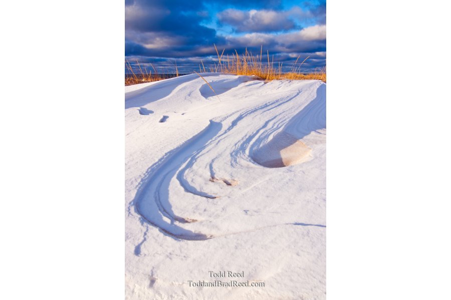 Local Shoreline in the Snow (8316)