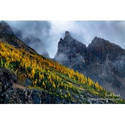 Kodachrome Mountain