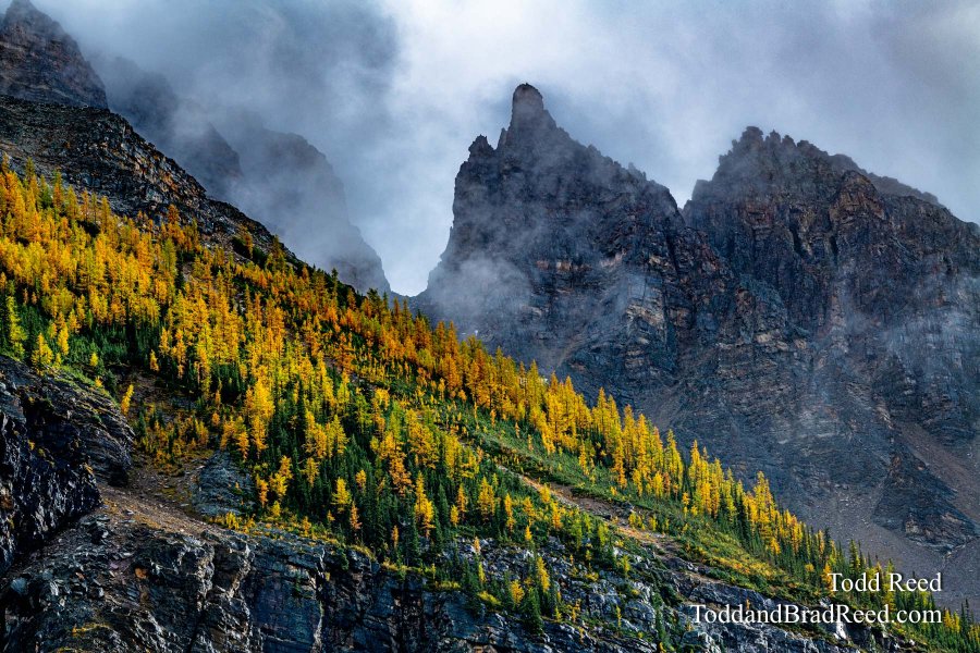 Kodachrome Mountain