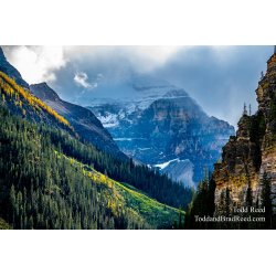 Mountain Journey