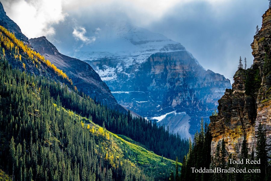 Mountain Journey