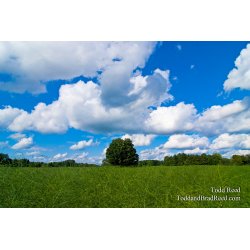 Todd\'s Day 209 of 365