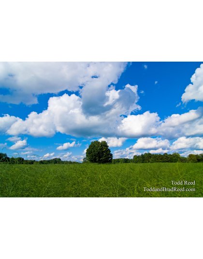 Todd's Day 209 of 365