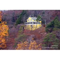 Autumn Eyecatcher