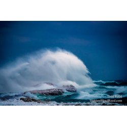 Bomb Cyclone
