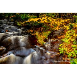 Converging Falls