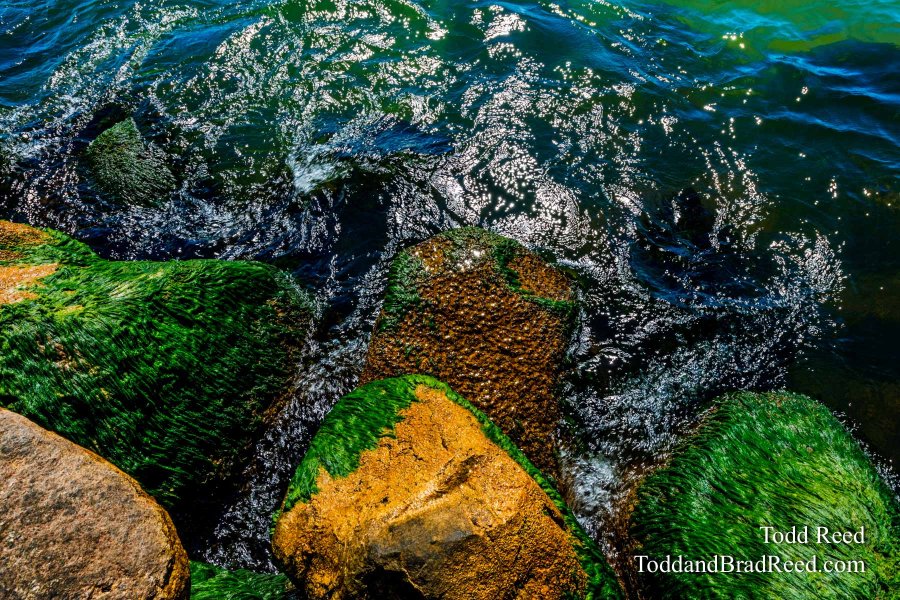 Emerald Sea