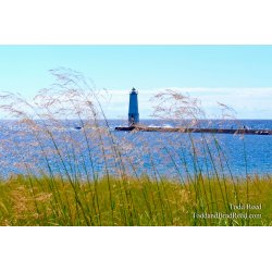 Frankfort (4188)