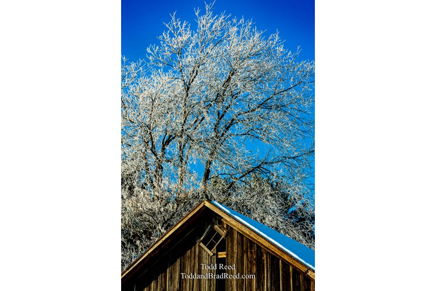 Freeze Morning