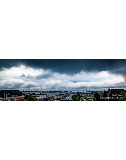 June Has Arrived - Panoramic