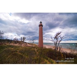 Todd Reed Little Point Sable