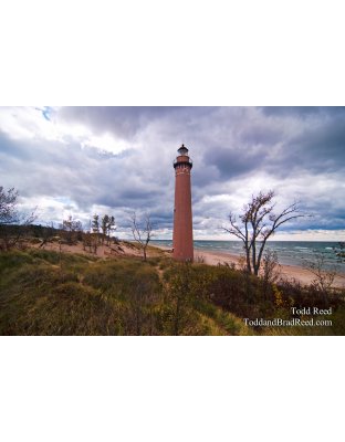 Todd Reed Little Point Sable