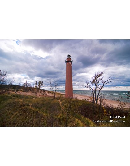 Todd Reed Little Point Sable