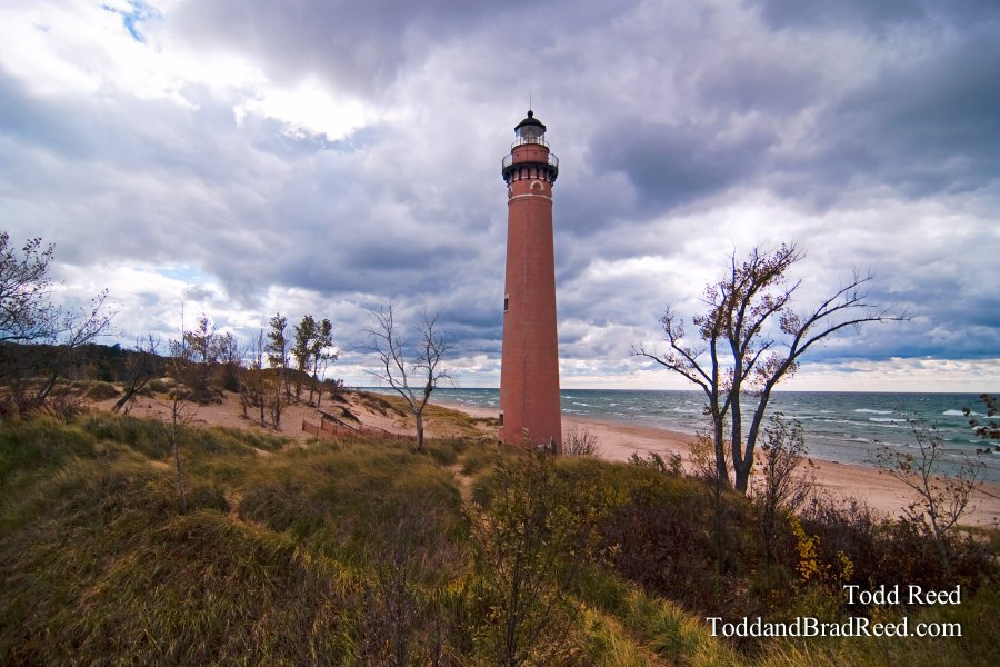 Todd Reed Little Point Sable