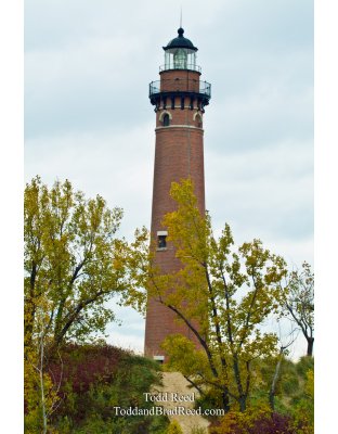 Little Point Sable (1590)