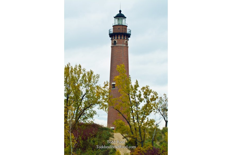Little Point Sable (1590)