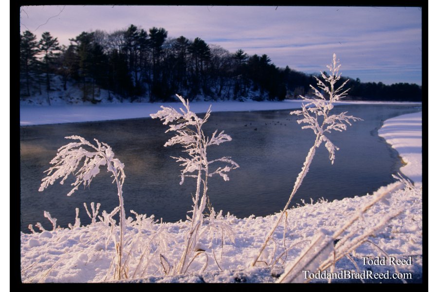 Ludington State Park (2008)