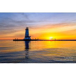 Ludington Adventure