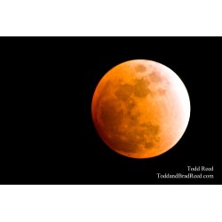 Lunar Eclipse