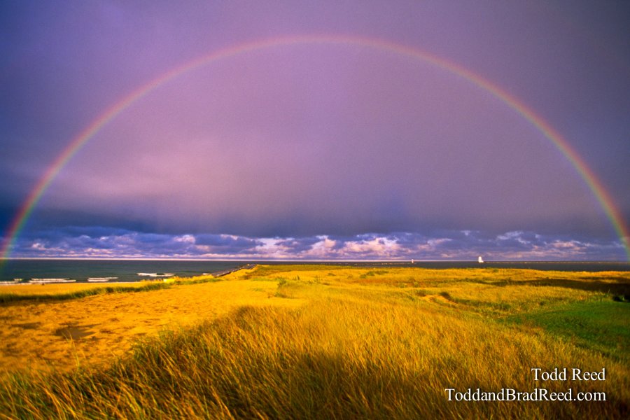 Todd Reed Rainbow Over Ludington