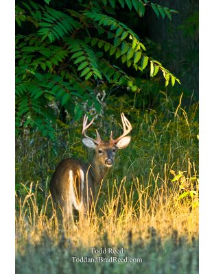 September 2008 (4218)