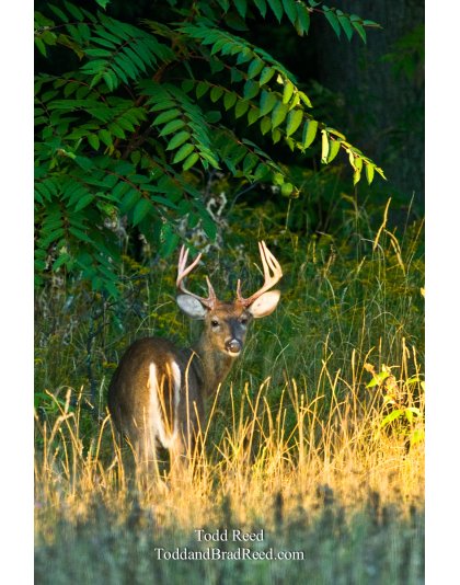 September 2008 (4218)