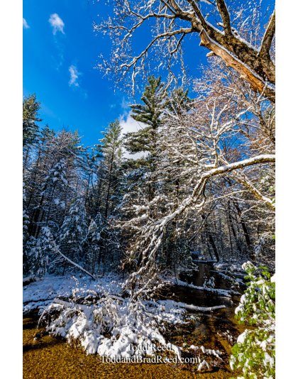 Snowy Creek