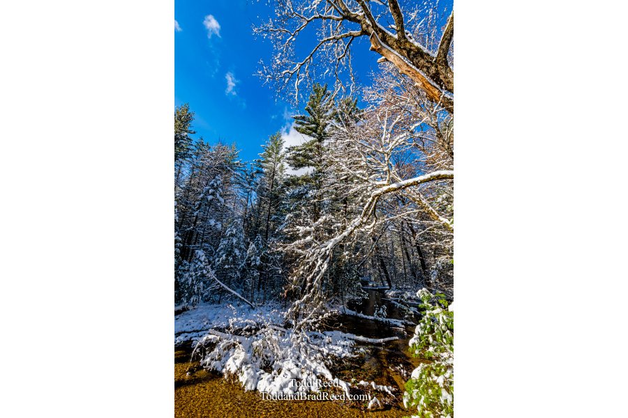 Snowy Creek