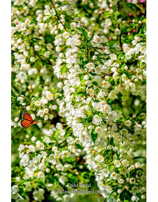 Target Rich Environment