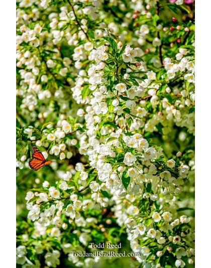 Target Rich Environment