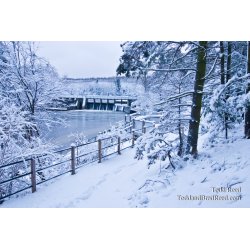 Winters Best