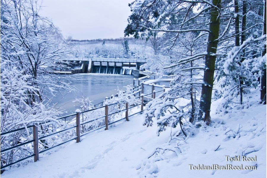 Winters Best