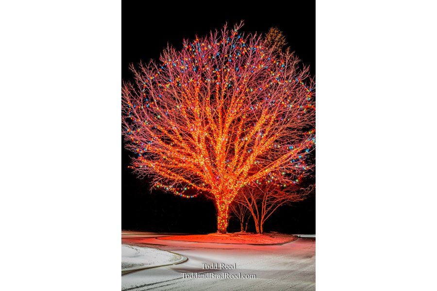 Bay Harbor Lights