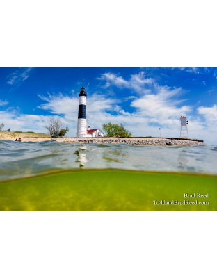 Under Water at Big Sable