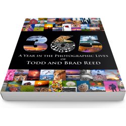 Todd and Brad Reed 365 DVD