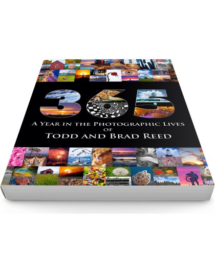 Todd and Brad Reed 365 DVD