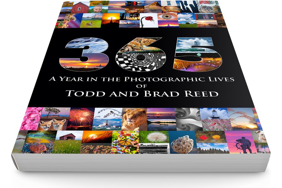 Todd and Brad Reed 365 DVD