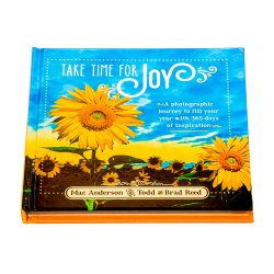 Take Time for Joy book