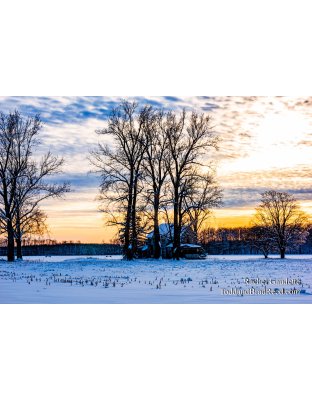 Rachels Day 1 of 366 - January 1, 2020