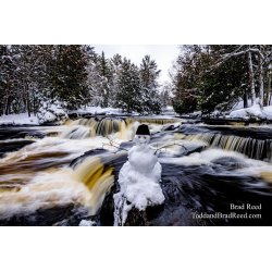Brad Reed\'s Day 2 of 366