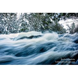 Rachel\'s Day 2 of 366 - January 2, 2020