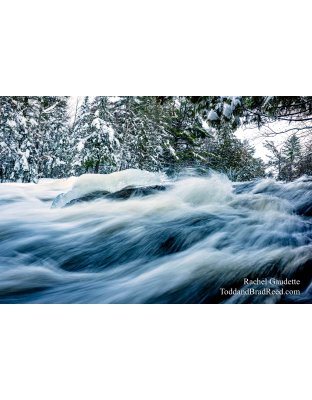 Rachel's Day 2 of 366 - January 2, 2020