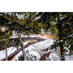 Brad Reed\'s Day 3 of 366