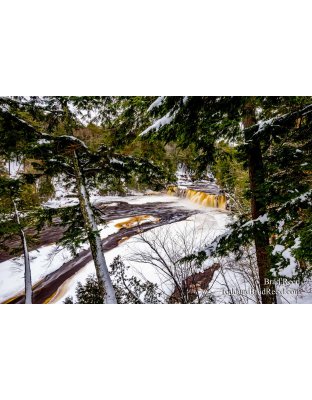 Brad Reed's Day 3 of 366