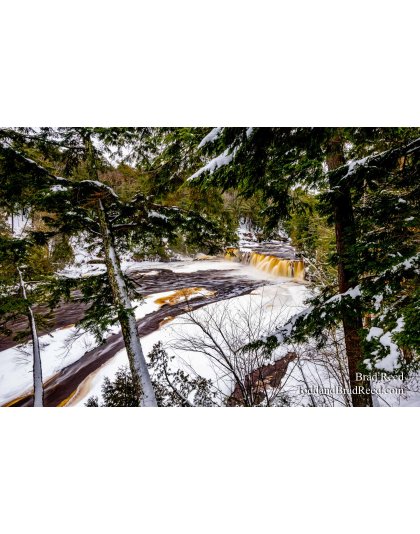 Brad Reed's Day 3 of 366