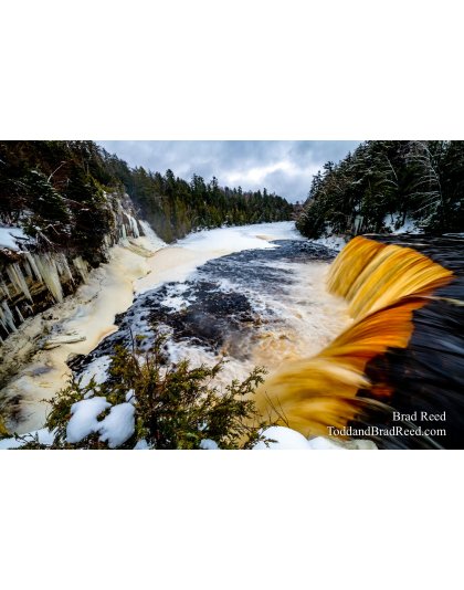 Brad Reed's Day 4 of 366