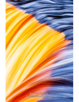 Rachel's Day 4 of 366 - January 4, 2020