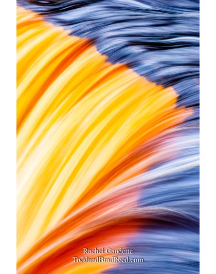 Rachel's Day 4 of 366 - January 4, 2020